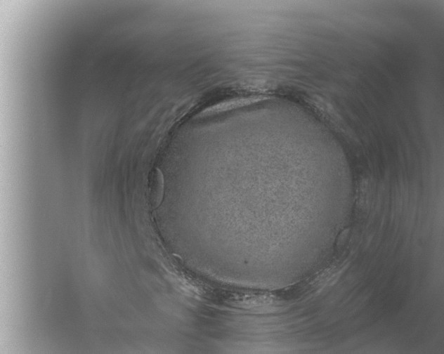 X0000058121201200510071930