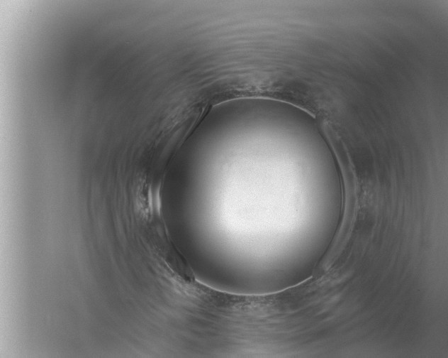 X0000058121202200510071930