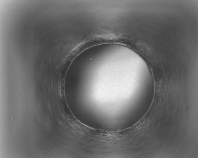 X0000058121205200510071930