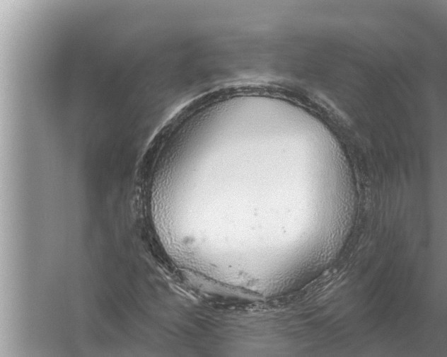 X0000058121208200510071930