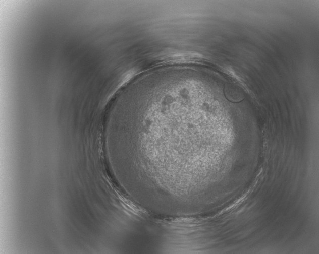 X0000058121211200510071930