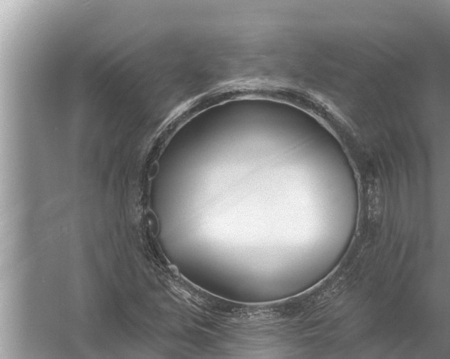 X0000058121213200510071930