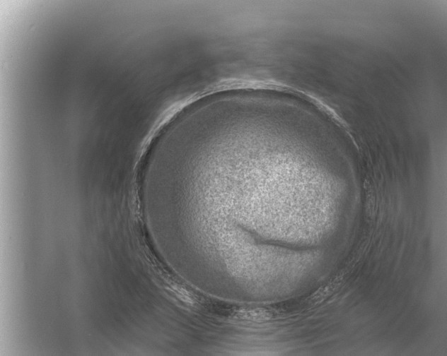 X0000058121215200510071930