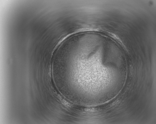 X0000058121220200510071930