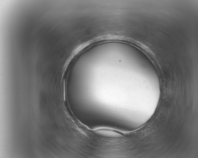 X0000058121223200510071930