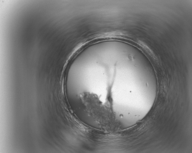 X0000058121224200510071930