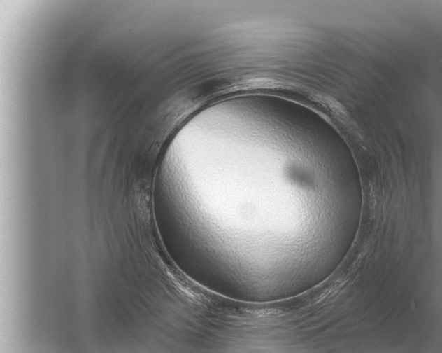 X0000058121225200510071930