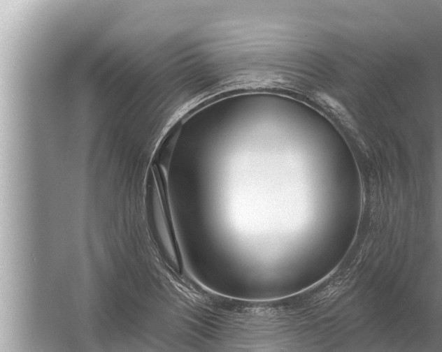 X0000058121226200510071930