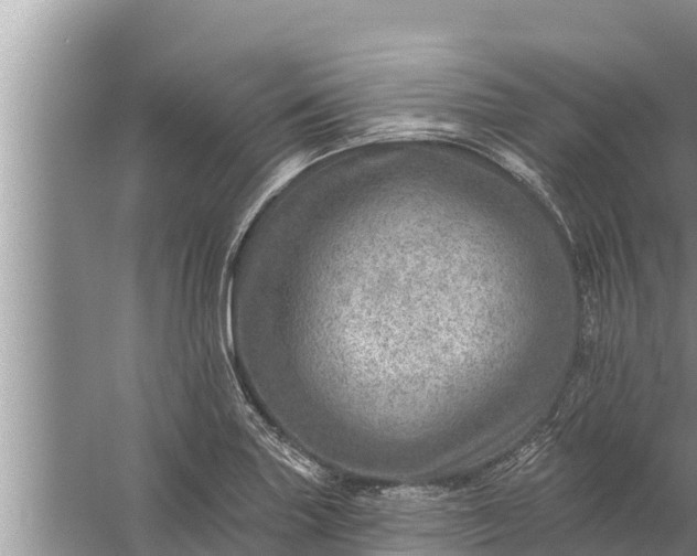 X0000058121227200510071931