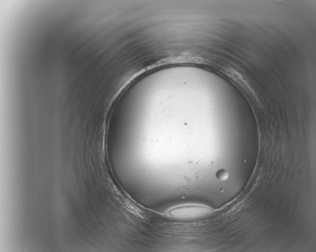 X0000058121228200510071931