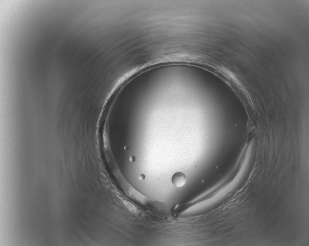 X0000058121230200510071931