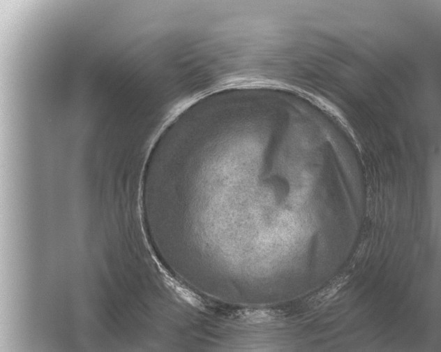 X0000058121231200510071931