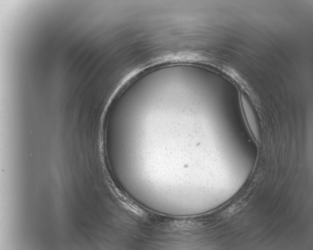 X0000058121232200510071931