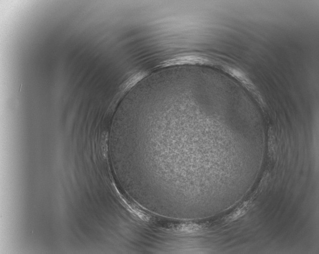 X0000058121233200510071931