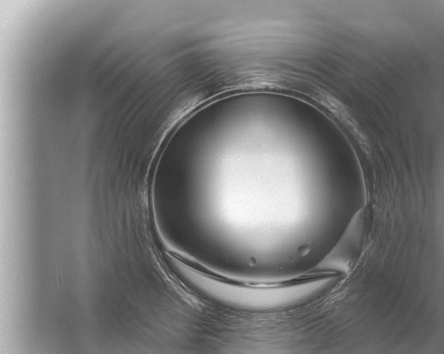 X0000058121234200510071931