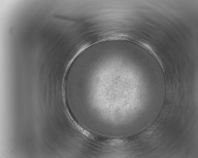 X0000058121235200510071931