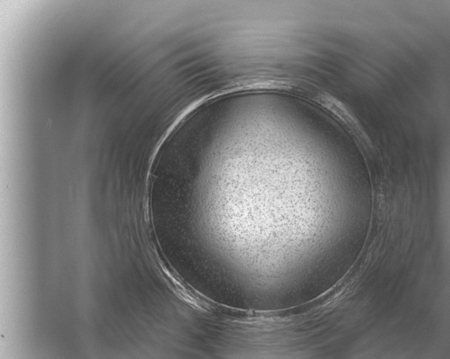 X0000058121236200510071931