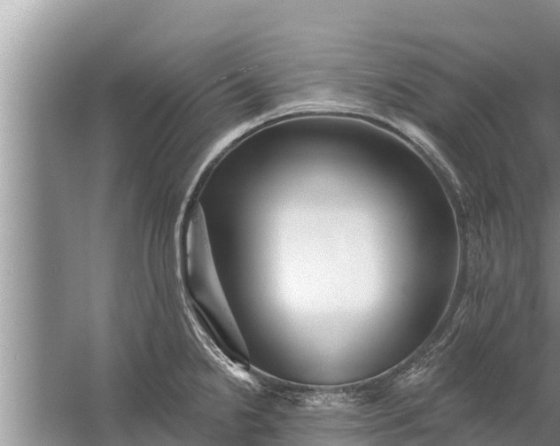 X0000058121238200510071931