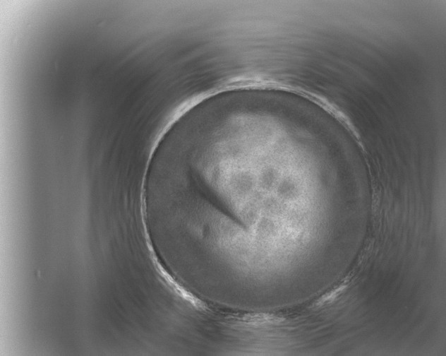 X0000058121239200510071931