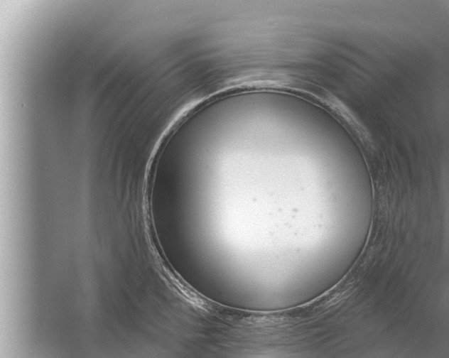 X0000058121240200510071931