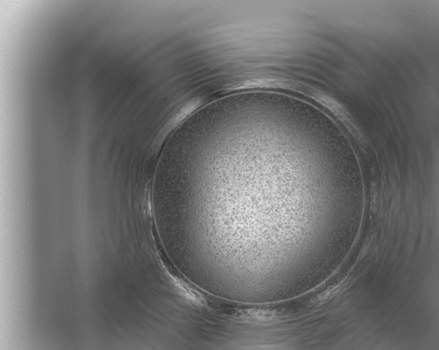 X0000058121241200510071931