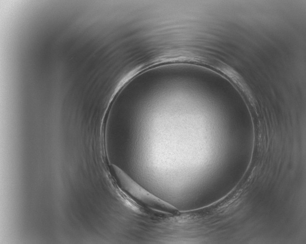 X0000058121242200510071931