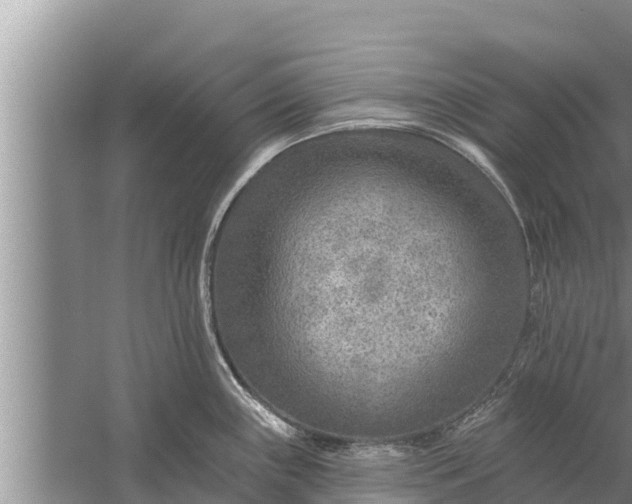 X0000058121243200510071931