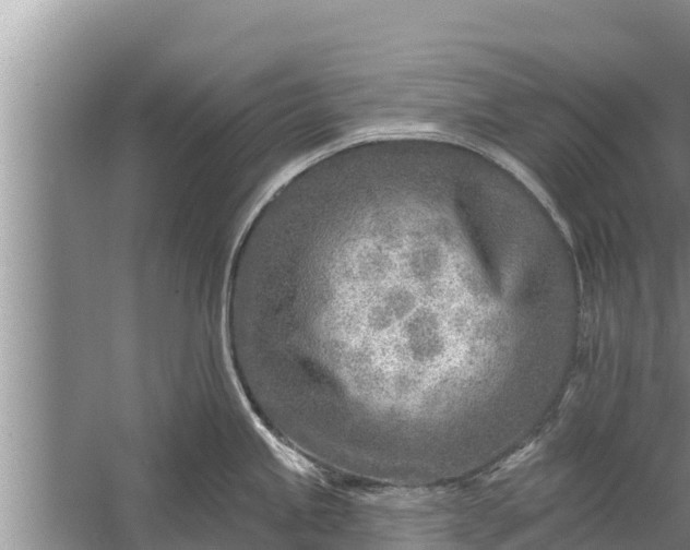 X0000058121245200510071931