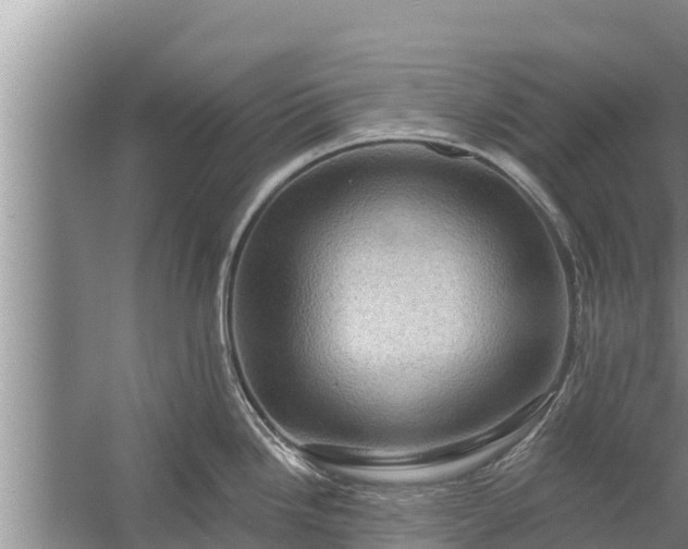 X0000058121246200510071931