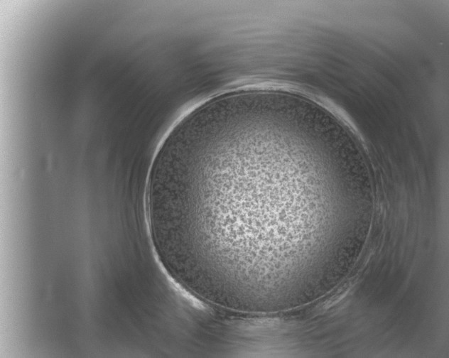 X0000058121247200510071931