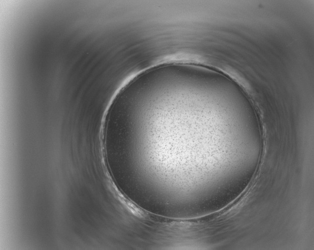 X0000058121248200510071931