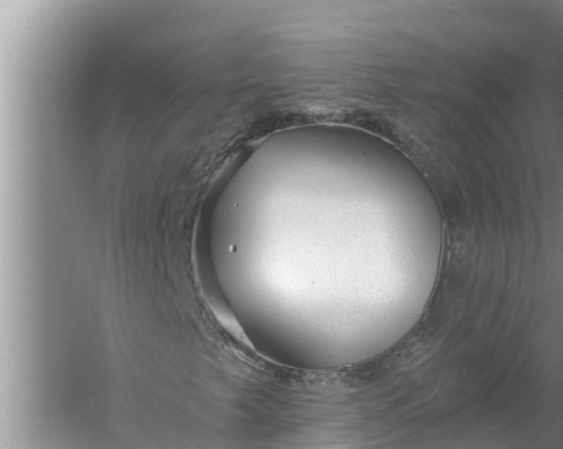 X0000058121249200510071930