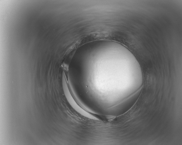 X0000058121250200510071930