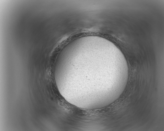 X0000058121254200510071930