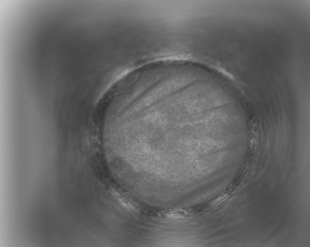 X0000058121255200510071930