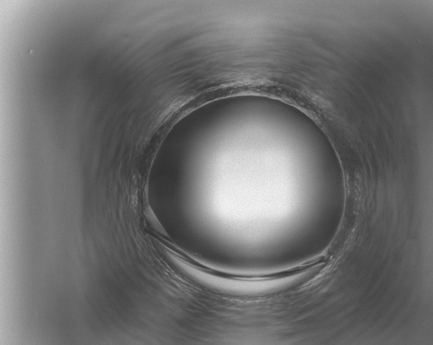 X0000058121257200510071930