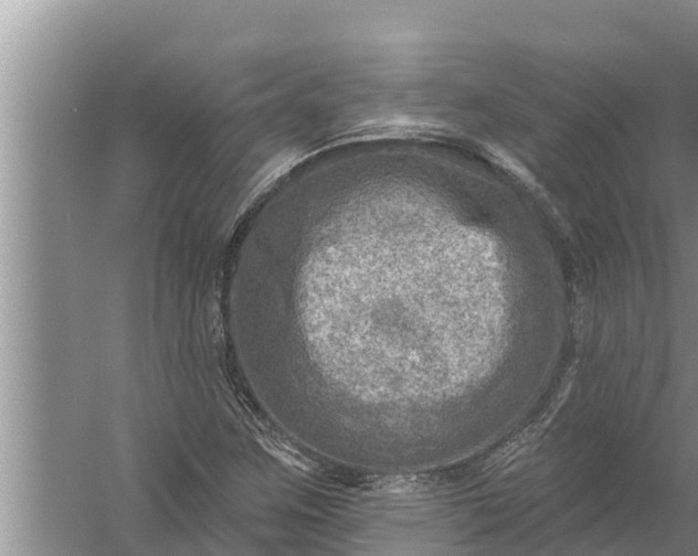 X0000058121259200510071930