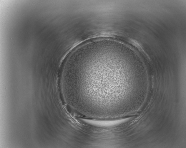 X0000058121260200510071930