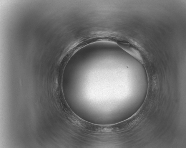 X0000058121261200510071930