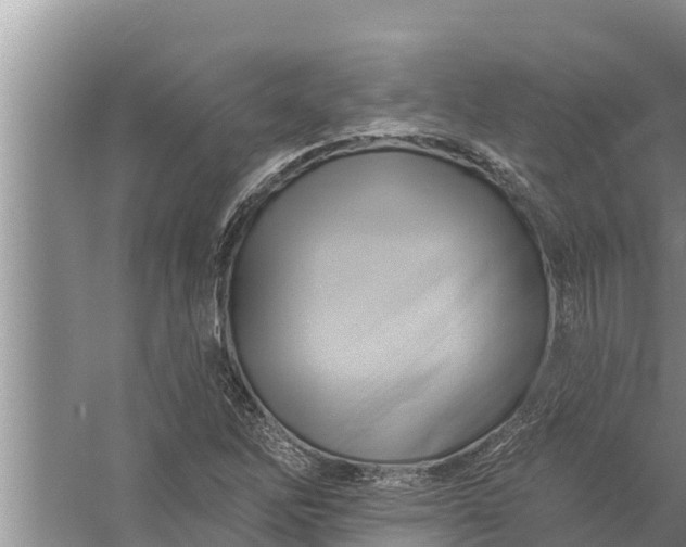 X0000058121262200510071930