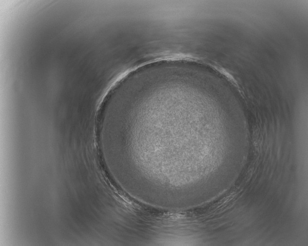 X0000058121263200510071930