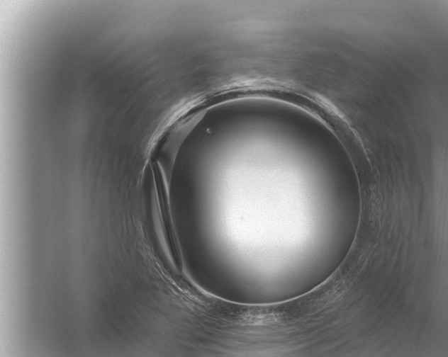 X0000058121269200510071930