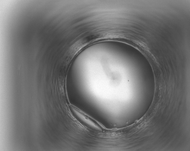 X0000058121273200510071930