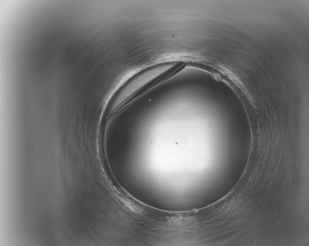 X0000058121277200510071930