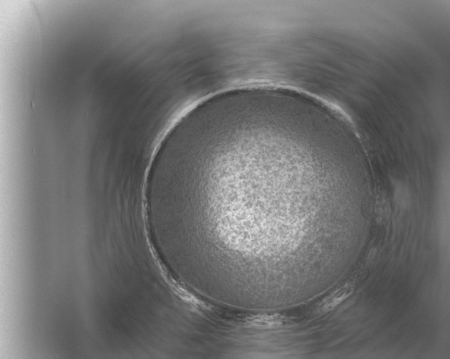 X0000058121279200510071930