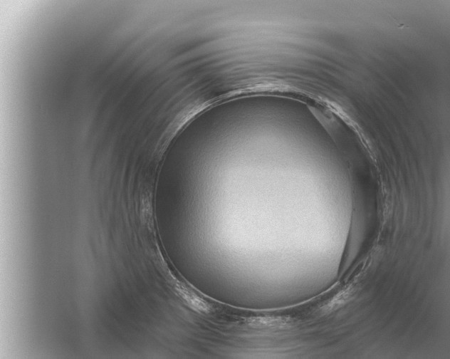 X0000058121281200510071930