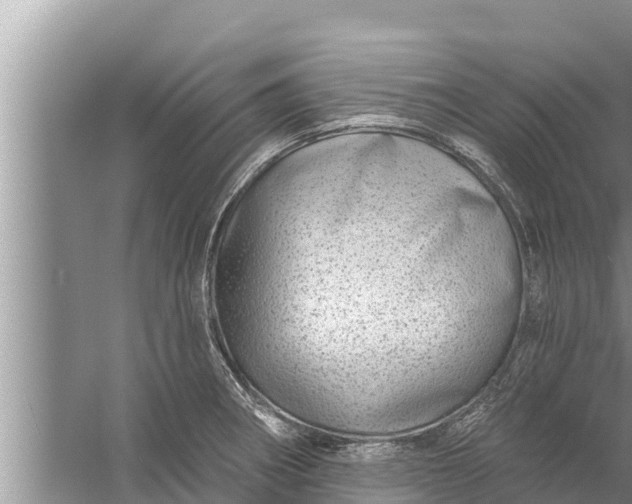 X0000058121282200510071929