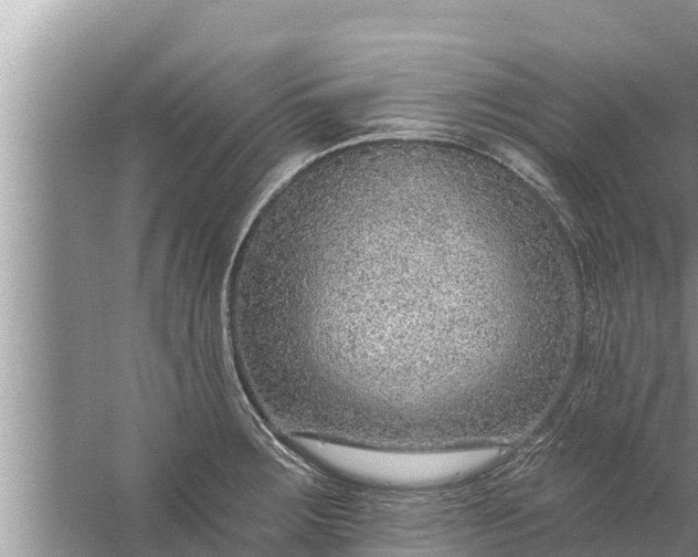 X0000058121283200510071929