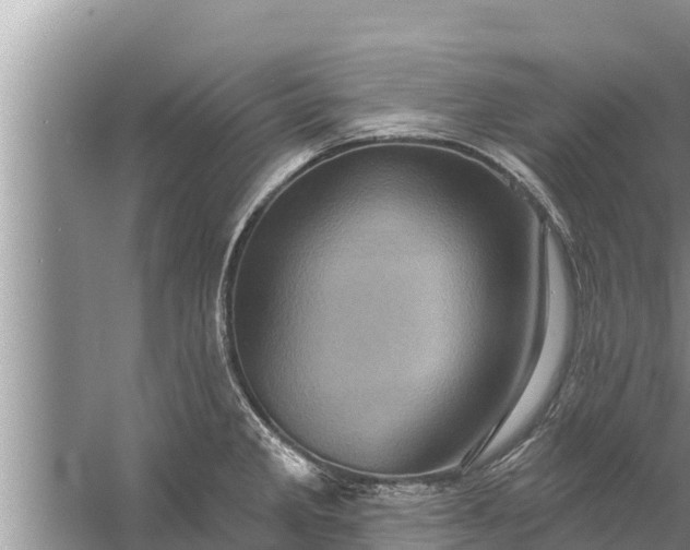 X0000058121285200510071929