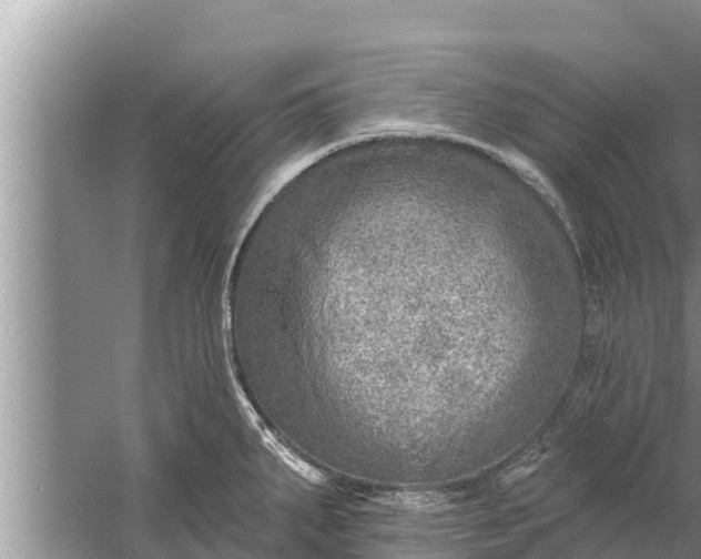 X0000058121287200510071929